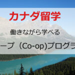 【コープ（Co-op）】を徹底解説。カナダで学びながら稼ぐ方法